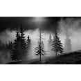 thumbnail image 2 of Oncete, Julien 24x16 White Modern Wood Framed Museum Art Print Titled - Misty Forest, 2 of 4