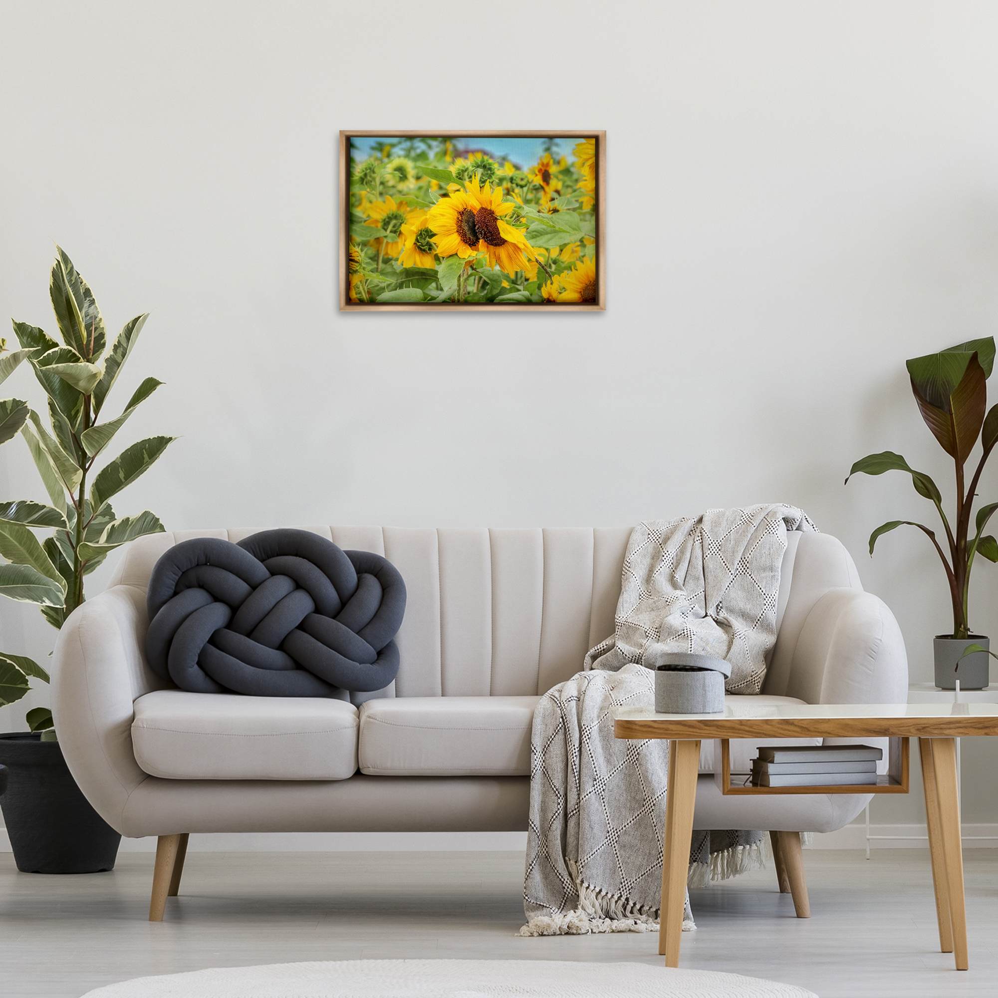 Stupell Industries Sunflower Field Photography Landscape Photography Brown Floater Framed Art Print Wall Art, 25 x 17
