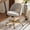 Grey, variant on Modern Velvet Small Office Chair,Cute Desk Chair with Wheels,Gold Base/Studs, Comfy Armless Swivel Vanity Task Chair for Women/Girl/Kids, Nail Tech Chair for Bedroom,Small Space,Mint Green