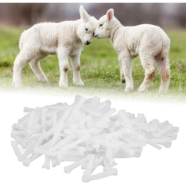 nipocaio 100 Pieces, Disposable Umbilical Cord Clips, White Umbilical