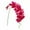Hot Pink, variant on 2026 Hot!Flowers Butterfly Orchid 1 Pc Real Double Branch Silk Flowers for Wedding Home Office Party Hotel Yard Decoration Restaurant Patio Festive Furnishing