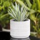 thumbnail image 2 of Toystoory Plantas suculentas de larga duración - Plantas suculentas de aspecto natural y bajo mantenimiento Falsas Decoración, 2 of 6