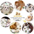 thumbnail image 5 of Cama para gatos, cama para gatos de interior con manta, nido con forma de león para gatos, gatitos, perros, cachorros, conejos y hurones., 5 of 5