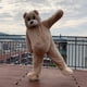 thumbnail image 2 of Disfraz de mascota de oso bailarín, disfraz de cosplay, disfraz de muñeco de dibujos animados, oso de peluche, oso cachorro, oso divertido para fiesta de Halloween, 2 of 5