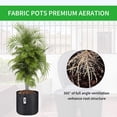 thumbnail image 6 of iPower 5-Pack 2-Gallon Grow Bags Fabric Pots Non-Woven Plant Container with Handles Sides for Easy Transplanting, 6 of 7
