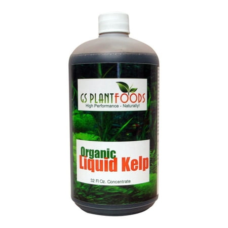 Freshwater Plant Supplement - Liquid Kelp Organic Seaweed Fertilizer, Natural Kelp Seaweed Based Soil Growth Supplement for Plants, Lawns, Vegetables - 1 Quart (32 Fl. Oz.) of Concentrate