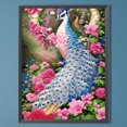 thumbnail image 1 of Cuadros Decorativos Kit de pintura de pavo real de taladro redondo completo DIY 5D arte de decoración del hogar (E2717) Wdftyju embutido en tela, 1 of 9