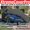 BLACK, variant on XtremeCoverPro custom fit car cover for Mercedes Benz SL-Class 2025 2026