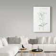thumbnail image 3 of Trademark Fine Art 'Botany Book IX' Canvas Art by Wild Apple Portfolio, 3 of 3