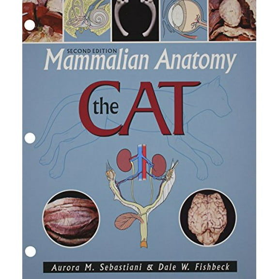 Pre-Owned Mammalian Anatomy: The Cat