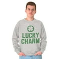 thumbnail image 5 of Saint Patricks Lucky Charm Shamrock Sweatshirt for Men or Women Brisco Brands S, 5 of 6