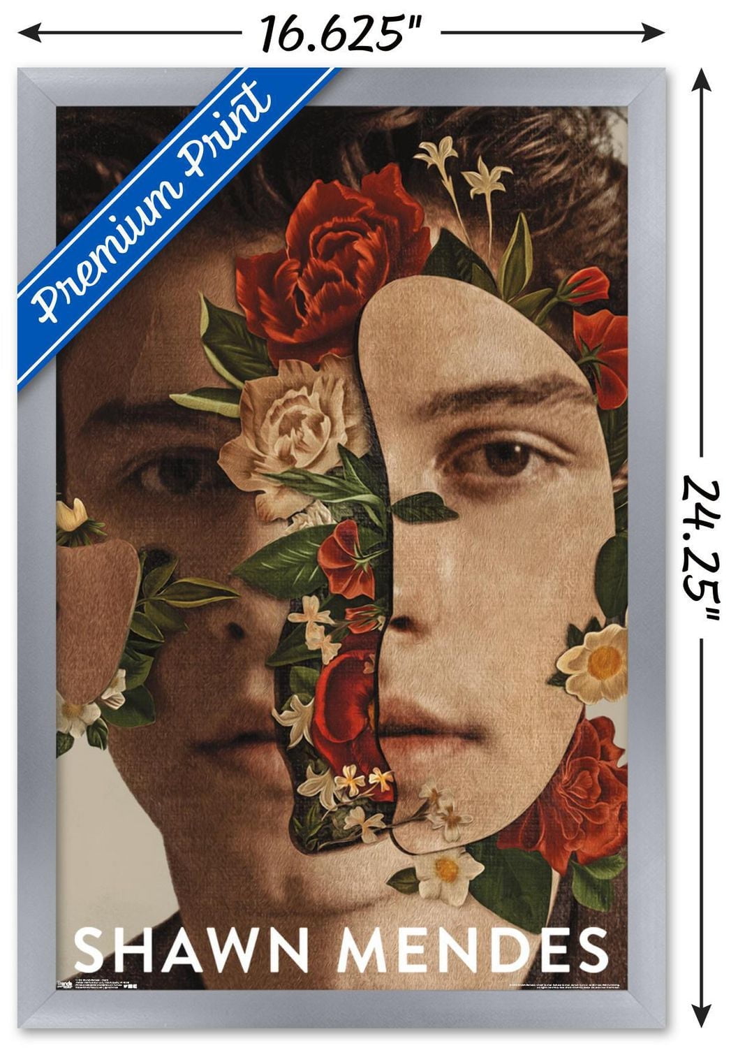 Shawn Mendes - Floral Wall Poster, 22.375" x 34"