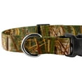 thumbnail image 5 of Country Brook Petz® Waterfowl Camo Everyday Dog Collar - Made in The USA, Medium, 5 of 5