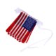 thumbnail image 1 of unbranded Banderines Decorativos Temáticos De Con Americano Para Interiores Y Exteriores, 1 of 8