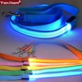 thumbnail image 3 of Reflective LED Dog Leash, 3 of 6