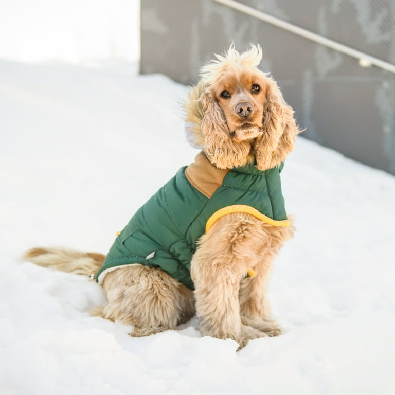 Dog shop parka jacket