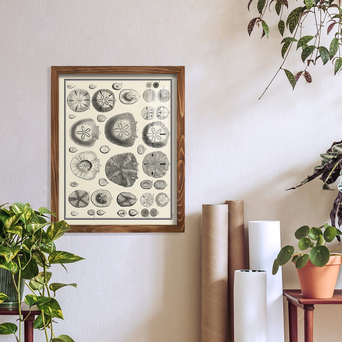 Aegean Collection II -Framed Print w/glass-Walnut