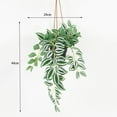 thumbnail image 2 of Lerman Decor hanging plant, 2 of 4