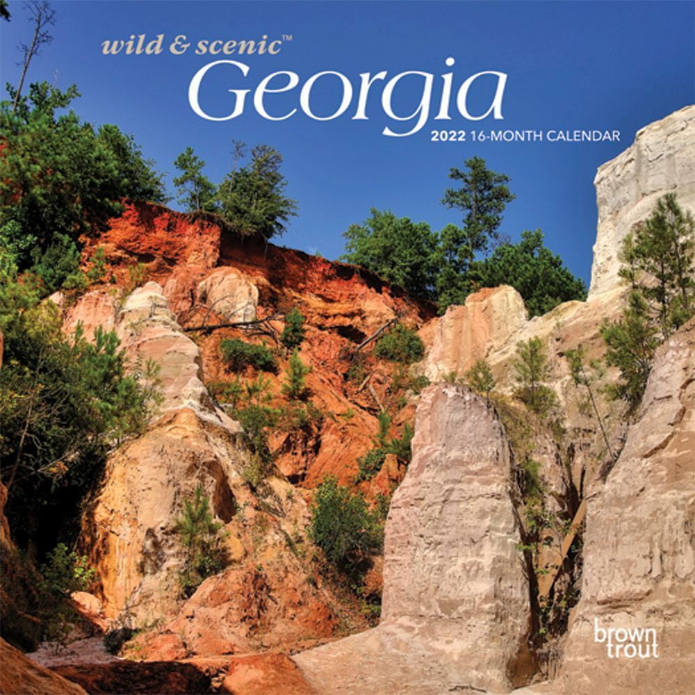 Georgia Wild And Scenic 2022 Mini Wall Calendar - Walmart.com