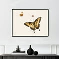 thumbnail image 1 of Three Butterflies | Herman Henstenburgh | Premium Fine Art Print | 18th Century Dutch | Art Nouveau | Botanical | Plant Art | Nature Art, 1 of 7