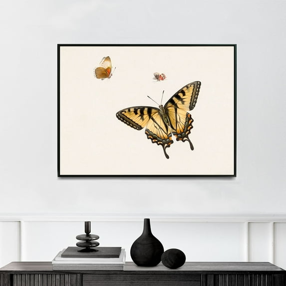 Three Butterflies | Herman Henstenburgh | Premium Fine Art Print | 18th Century Dutch | Art Nouveau | Botanical | Plant Art | Nature Art