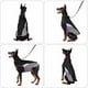 thumbnail image 4 of 1 pieza de chaleco para cachorros y perros, chaqueta para exteriores, ropa cálida para perros de invierno, 4 of 4