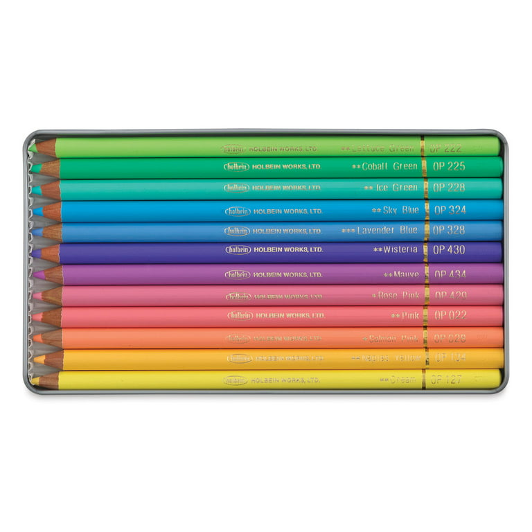 Derwent Pastel Coloured Pencils Set of 12