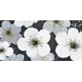 thumbnail image 3 of Fleurs Grises - Toile 24"x48 Pouces - Impression à la Demande, 3 of 5