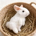 thumbnail image 7 of Easter Bunny Stuffed Animal Soft White Rabbit Plush Toy Cute Birthday Easter Gifts for Boys Girls Toddlers, 7 of 7