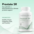 thumbnail image 3 of Theralogix Prostate SR Saw Palmetto & Beta-Sitosterol Supplement - Supports Healthy Urinary Tract Function in Men* - 90-Day Supply - NSF Certified - 180 Softgels, 3 of 7