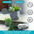thumbnail image 4 of Sunnydaze Assorted Moondust Concrete Outdoor Planters 2-Count, 4 of 9