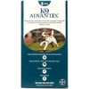 Advantix ADVX-TEAL-20-6 Advantix For Dogs 10-22 Lbs