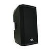 Seismic Audio - Riot-12 - Powered 12" 1000 Watt PA /DJ Speaker with Bluetooth, DSP, Built in Mixer & Class D Amplifier