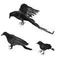 thumbnail image 2 of Estatua de pájaro de espuma de falso negro vivo, modelo de , accesorio de aterrador, adorno de árbol, espantapájaros de jardín, 3 piezas Macarena Estatua de cuervo, 2 of 8