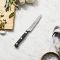 thumbnail image 2 of J.A. Henckels International CLASSIC Christopher Kimball 4-inch Paring Knife, 2 of 8
