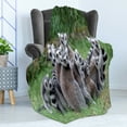 thumbnail image 4 of Lemur Soft Flannel Fleece Blanket, Photo of Madagascar Monkey Ring Tailed Flock of Exotic Animal in Nature, Cozy Plush for Indoor and Outdoor Use, 50" x 70", Pale Mauve Taupe Emerald, by Ambesonne, 4 of 5