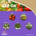 thumbnail image 5 of Bonide Captain Jack's 16 oz Neem Oil Ready-to-Use Spray for Insect, Fungus and Mite Control, 5 of 8