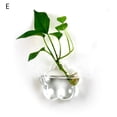 thumbnail image 3 of D-GROEE Hanging Wall Mounted Fish Bowl Betta Tank Aquarium Wall Decor Plant Fish Bubble, 3 of 6