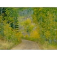 thumbnail image 2 of Gulin, Sylvia 24x19 White Modern Wood Framed Museum Art Print Titled - USA-Idaho-Highway 36 west of Liberty dirt road and Aspens in autumn, 2 of 4