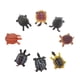 thumbnail image 5 of modelo animal realista Zulema juguete educativo de aprendizaje Tortuga 8pcs, 5 of 8