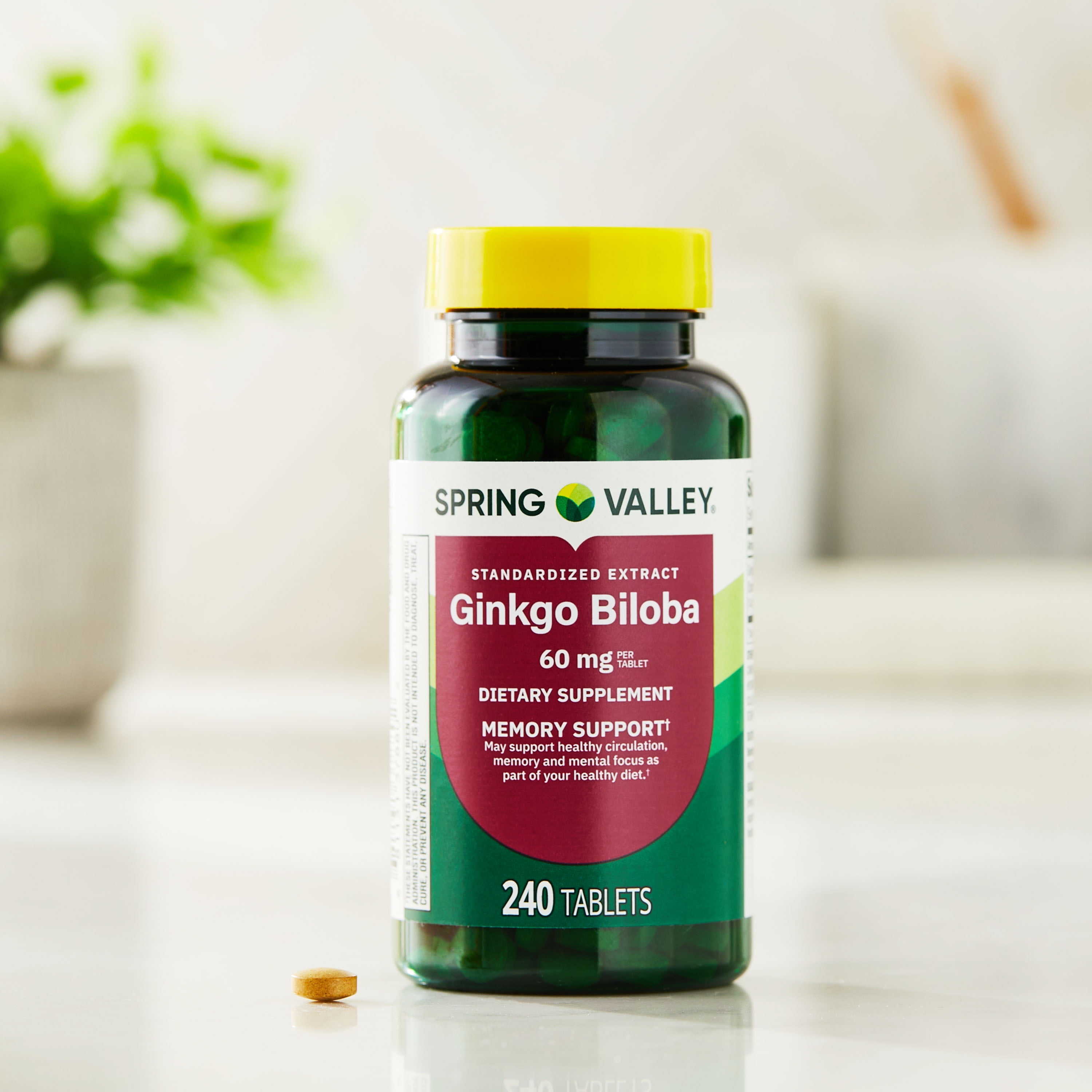 ginkgo biloba l carnitine Spring Valley Standardized Extract Ginkgo Biloba Tablets, 60 mg, 240 Count  HSA/FSA Eligible