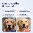 thumbnail image 2 of Petpost Oatmeal & Chamomile Shampoo for Dogs - Soothes Dry, Itchy, Sensitive Skin - Naturally Healing Formula with Aloe & Yucca - 8 oz, 2 of 10