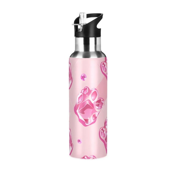ALAZA Pink Cute Print Water Bottle Insulated Flask Stainless Steel Straw Lid 20 oz