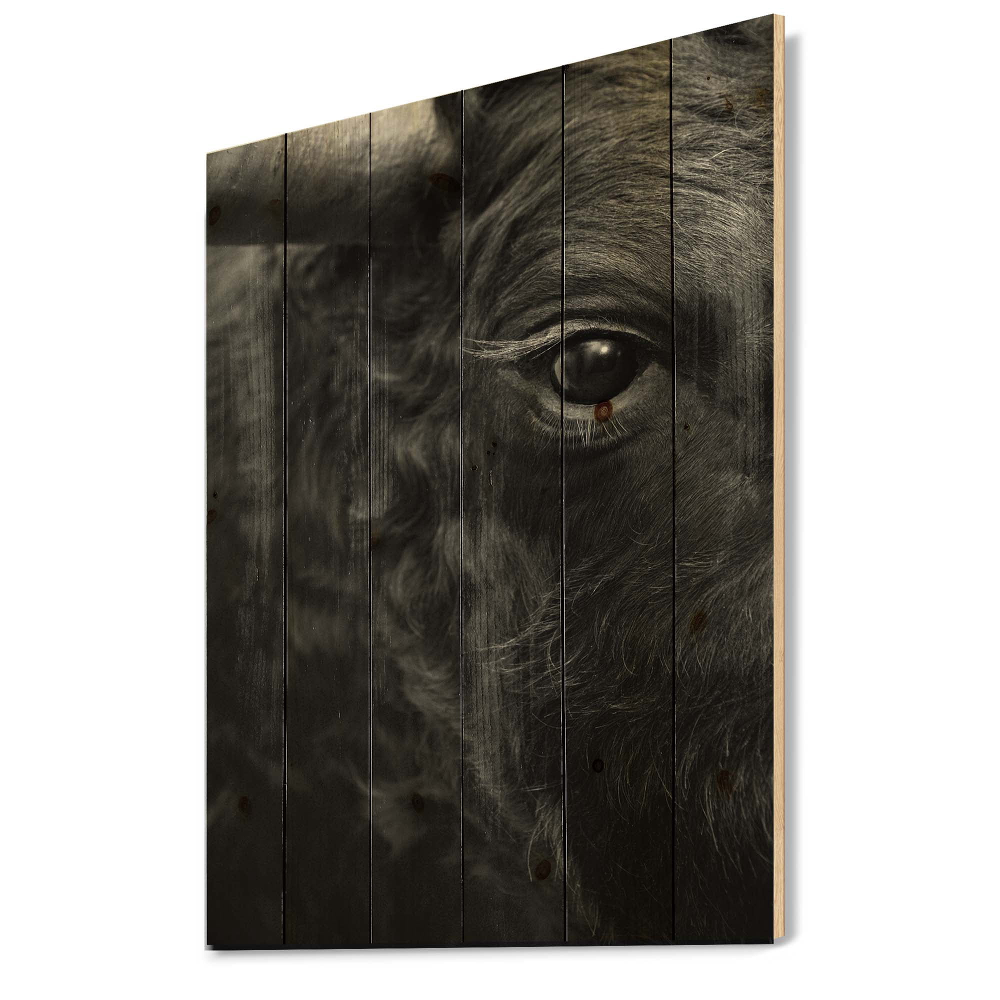 Designart 'Close Up Of Eye Of A Bull' Farmhouse Print on Natural Pine Wood