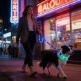 thumbnail image 5 of FeiFu LED Light-Up Dog Leash USB Rechargeable Luminous Traction Rope Adjustable Reflective Pull Strap Glow in the Dark Safety Leash for Night Walking, 5 of 6