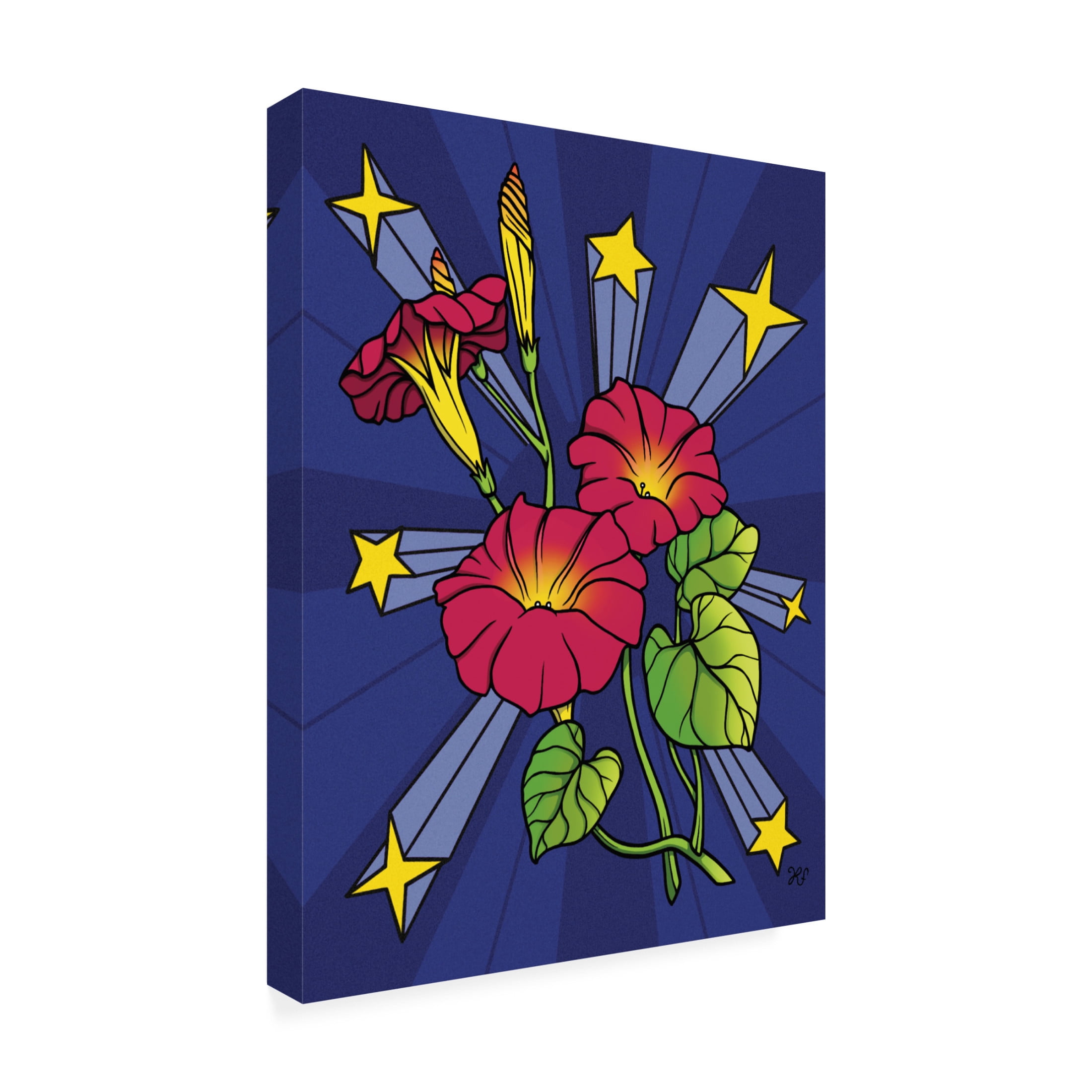 Canvas Wall Art - Rachel Feirman 'Burst of Morning Glory' Wall Art for Living Room, Bedroom, or Office Décor by Trademark Fine Art - 24 x 32 Inches