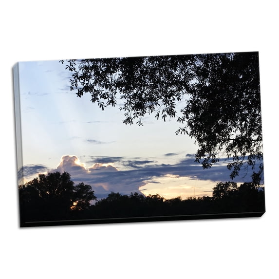 Gango Home Decor Sunset Through the Trees 1 by Alan Hausenflock (Ready to Hang); One 36x24in Hand-Stretched Canvas