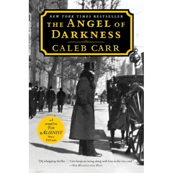 Pre-Owned The Angel of Darkness (Paperback) 0345427637