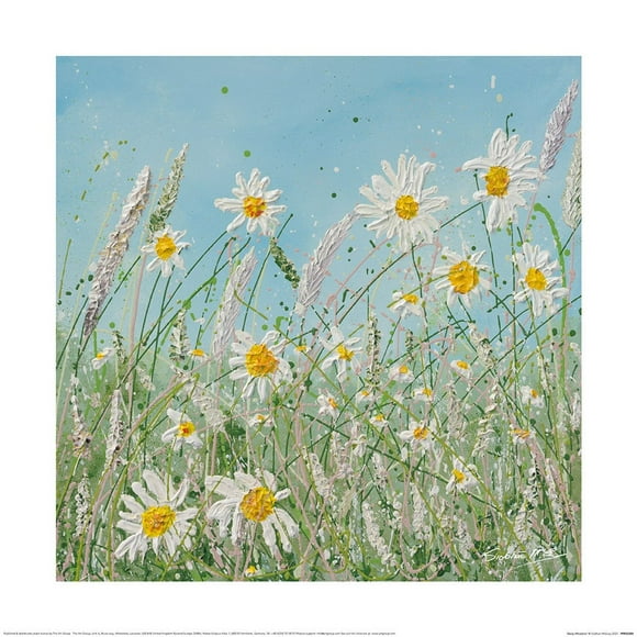 Siobhan McEvoy Daisy Meadow Print