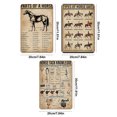 thumbnail image 4 of 3pcs Metal Horse Signo Lata Rectangular Pintura Hierro Del 20x30 Cm, 4 of 4